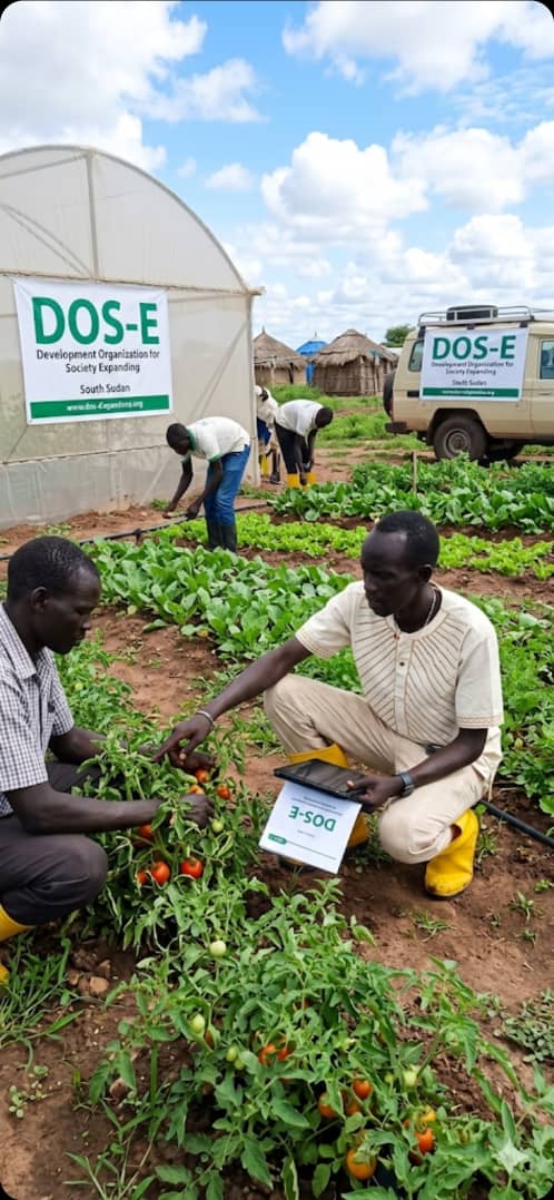 DOS-E community